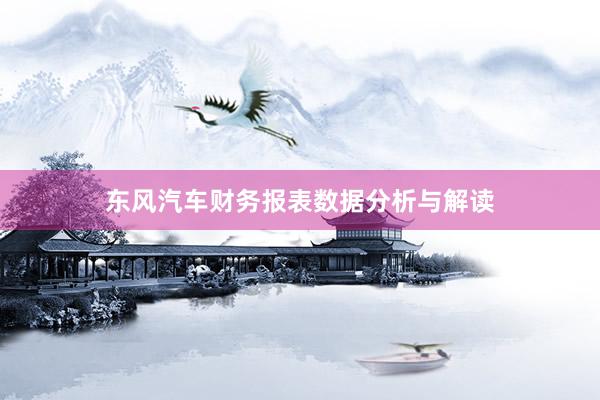 东风汽车财务报表数据分析与解读